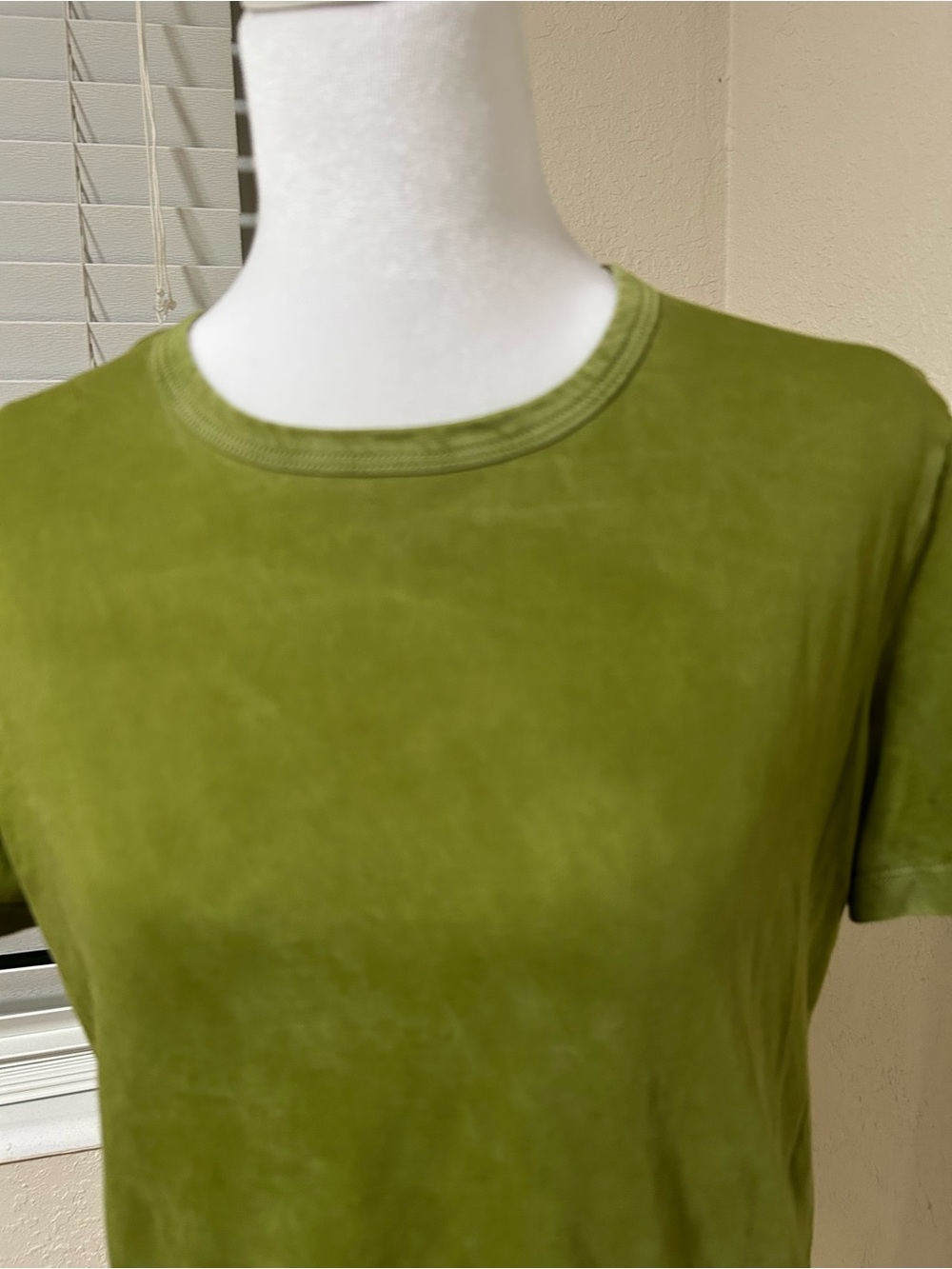 Cotton Citizen Standard Distressed Vintage Green Crew Neck Tee
